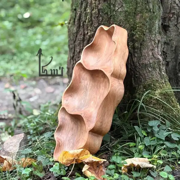 مدل ظرف چوبی ساده